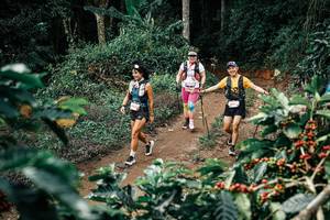 BIB: 
                            <button type="button" onclick="openModal(25857992)" class="btn btn-primary btn-sm float-right btn-popup" data-toggle="modal" data-target=".modal-high-quality">
                        <i class="fas fa-shopping-cart"></i> Add to Cart
                    </button>
                                            <button type="button" onclick="isThisMe(25857992, true)" class="btn btn-success btn-sm float-right btn-popup btn-isme hidden" data-toggle="tooltip" data-placement="bottom" title="นี่คือรูปของคุณใช่ไหม คลิกที่นี่เพื่อเอาเข้าอัลบั้ม">
                        <i class="fas fa-plus"></i> Add to album
                    </button>
                    <button type="button" onclick="isThisMe(25857992, false)" class="btn btn-warning btn-sm float-right btn-popup btn-isnotme hidden">
                        <i class="fas fa-ban"></i> Remove from album
                    </button>